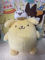 レア!!! ポムポムプリン まんまる パスケース レア ポムポムプリン