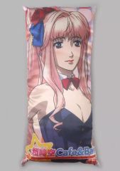 【希少新品未開封】シェリル 抱き枕カバー マクロスF マクロスF シェリル・ノーム 抱き枕カバー - メルカリ