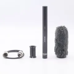 SONY ECM-VG1 鋭指向性ショットガンマイクロホン
 #4520のサムネイル
