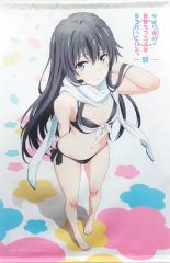 やはり俺の青春ラブコメは間違っている。続ウェブポンA賞雪ノ下雪乃B2