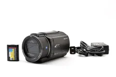 2026年最新】sony 4k ビデオカメラ fdr－ax40の人気アイテム - メルカリ