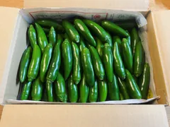 【予約販売】栃木県産フレッシュハラペーニョ！箱込み2kgのサムネイル