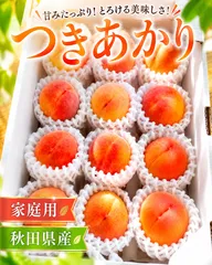 秋田県産　黄桃【つきあかり】　家庭用　2.0kg（８月中旬より順次出荷予定）のサムネイル