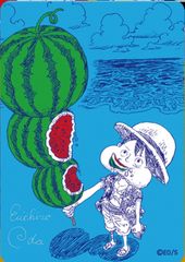 ナツコミ 2026 ワンピース メタキラカード サイン 10枚セット - メルカリ