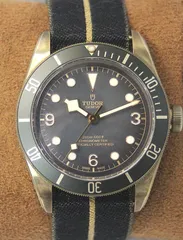 TUDOR　ブラックベイブロンズのサムネイル