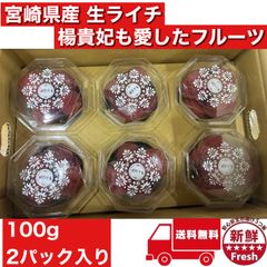 2箱限定特売】小粒含む無選別品400g鹿児島県産 島津佐多ライチ 農薬不