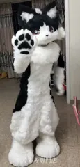 狼 犬 猫 着ぐるみ ヘッド ケモノ ファースーツ ぬいぐるみ コスプレ コスチューム Kurumi 一点物 D212のサムネイル