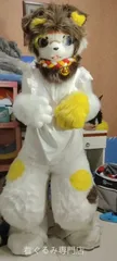 狼 犬 猫 着ぐるみ ヘッド ケモノ ファースーツ ぬいぐるみ コスプレ コスチューム Kurumi 一点物 D234のサムネイル