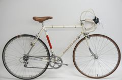 ◎GIOS VINTAGE VELOCE イタリアンカラー カンパ VELOCE - メルカリ