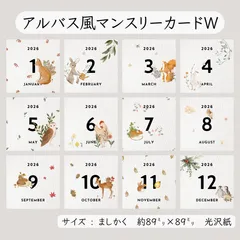 アルバス風マンスリーカード⋆𝐖 𓃦* 12枚セットのサムネイル