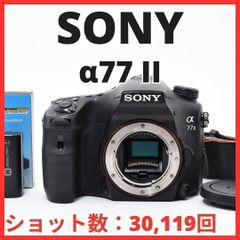 SONY α37 レンズ付 動作品 フラッシュ不良 レンズ小カビあり デジタル