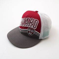 50s ハーバード大学 カレッジペナント フェルト 美品 HARVARD - メルカリ