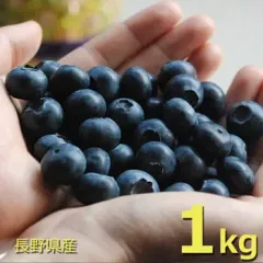 ７月上旬〜出荷予定　生ブルーベリー１ｋｇ（クール便）長野県産　大小バラ詰め　沖縄・離島はお届け不可のサムネイル