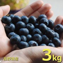 生ブルーベリー 3kg 農薬不使用栽培 愛媛県産 朝摘み 常温発送 - メルカリ