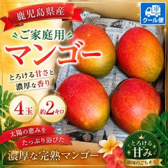 鹿児島県産 ご家庭用　完熟マンゴー2L 6玉　c 鹿児島県産 ご家庭用マンゴー 4玉 約2キロ クール便発送 - メルカリ