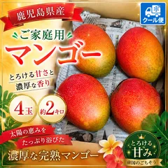 鹿児島県産   ご家庭用マンゴー　4玉　約2キロ クール便発送のサムネイル