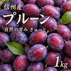 栽培期間中農薬不使用 生プルーン 3キロ位 8月収穫後発送します - メルカリ