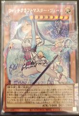 遊戯王 ウィッチクラフトマスター・ヴェール オーバーフレーム