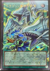 遊戯王 ドラゴン・導きの呼笛 オーバーフレーム プリズマ プリシク 日
