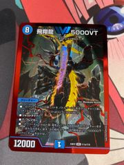 飛翔龍 5000 VT 赤枠 - メルカリ
