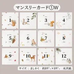 マンスリーカード① ⋆𝐖 𓃦* 12枚セットのサムネイル