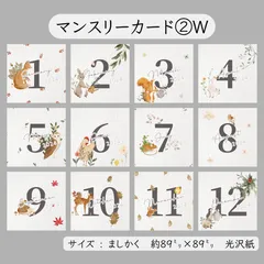 マンスリーカード②⋆𝐖 𓃦* 12枚セットのサムネイル