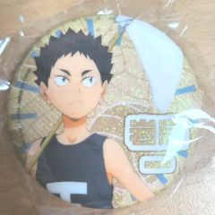 ハイキュー 幼少期 思い出トレーディングアクリルブロック 岩泉一