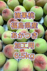 摘果マンゴー✨ 5kg - メルカリ