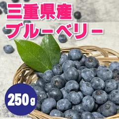 生ブルーベリー（250g・ラビットアイ系）のサムネイル
