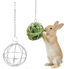 チモシー入れ うさぎ 牧草入れ 牧草フィーダー 直径8cm ウサギ用牧草ボール 小動物用グラスボールラック ラビット チンチラなどのエサ入れ 草入れ用ボール（カラー: 1）のサムネイル