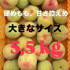 5.最終SALE 若桃 摘果桃 加工 桃 山梨県産 箱込み5kg - メルカリ
