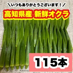 115本 高知県産 オクラ 野菜 即購入OK 産地直送 tagのサムネイル