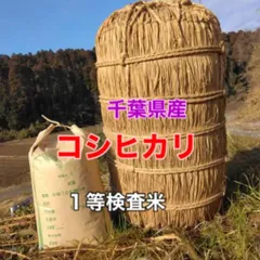 残りわずか！千葉県産コシヒカリ　1等検査米　玄米15kg　送料込みのサムネイル