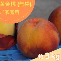 和歌山県産 完熟南高梅‼️L～Mサイズ混合‼️3kg みかんキング - メルカリ