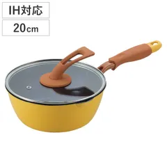 フライパン 20cm IH対応 カレーパン ガラス蓋付き 一条もんこ （ ガス火対応 カレー ガラス蓋 深型 カレーフライパン 20センチ カレー用 オールインワン調理 調理用品 鍋 深型フライパン 肉料理 野菜炒め )のサムネイル