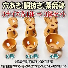 穴あき 胴抜き 素焼鉢- 3サイズ⇒3鉢セット: 3号×1鉢＋3.5号×1鉢＋4号×1鉢 長四角形穴 洋蘭 着生蘭 胡蝶蘭 カトレア フウラン セッコク エアプランツ ビカクシダ※利用に差し支えのない欠け凸凹はご容赦ください＠フラワーショップ江口