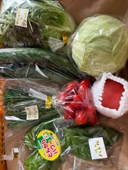 暑さも安心！秋田県からクール便でお届けします。一味違う新鮮野菜セット！この商品はその都度内容が変わりますのサムネイル