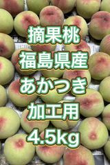 ご予約品専用　摘果桃　福島県産　あかつき　加工用 福島県産あかつき摘果桃 4.5kg 加工用＊傷あり - メルカリ