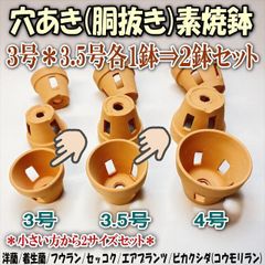 드릴링 몸통 빼기 초소 화분- 2 사이즈⇒2 화분 세트: 3호×1 그릇＋3.5호×1 그릇 긴 사각형 구멍 서양 난초 착생 난초 후추 난초 카틀레아 후울란 세콕 에어플랜츠 비카시다 박쥐 란 ※이용에 지장이 없는 빠짐 요철은 용서해 주세요