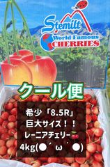 最終 超希少8.5R 巨大レーニアチェリー 糖度25度超 4kg さくらんぼ