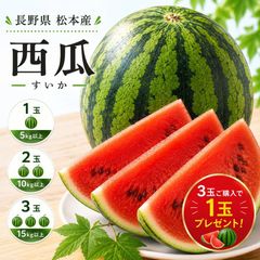 秋田県産 あきた夏丸 すいか 3Lサイズ 8〜9kg 大玉2玉入り - メルカリ