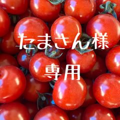 懐古トマト～赤い恋人～正品2kg箱‼️ミニトマト - メルカリ