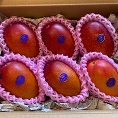 宮崎完熟マンゴー 12玉 約4.8kg 訳あり大玉 - メルカリ