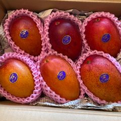 訳あり宮崎完熟マンゴー 12玉 約4kg - メルカリ