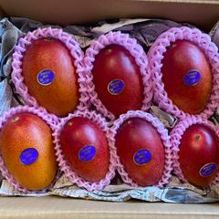 訳あり特大】宮崎完熟マンゴー 6玉約3kg 採れたて即発送 - メルカリ