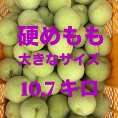 函館近郊産 青梅 2Lサイズ10キロ‼️ - メルカリ