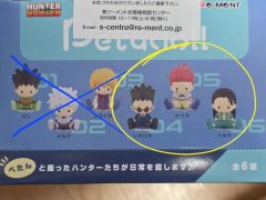 イルミ パリストン セット売り - メルカリ