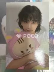 Artist-Made Collection by SEVENTEEN Season 1 PLUFFY TORAM & BLANKET SETのサムネイル