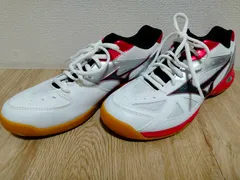 24.5 MIZUNO WAVE GATE  ウェーブゲート バドミントンシューズ 体育館シューズのサムネイル