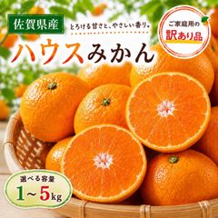 長崎県産 ハウスみかん 5kg 2Lサイズ！甘くて美味しい - メルカリ